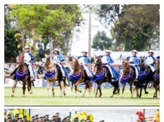 Gran expectativa por el Concurso Ecuestre Copa Obelisco Junín en Piura