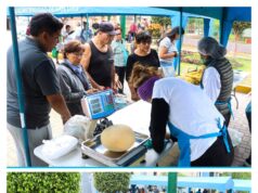Ferias de alimentos dan la hora en San Luis