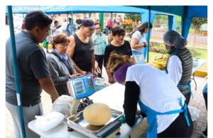 Ferias de alimentos dan la hora en San Luis