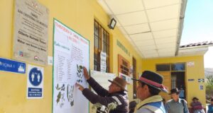 Ayacucho: adultos mayores promueven saberes ancestrales con el uso de plantas medicinales en Tambos del Midis