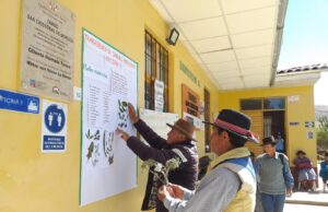 Ayacucho: adultos mayores promueven saberes ancestrales con el uso de plantas medicinales en Tambos del Midis