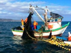 PRODUCE: PBI pesquero creció 34.8 % en julio de 2025 por la mayor captura de anchoveta