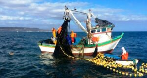 PRODUCE: PBI pesquero creció 34.8 % en julio de 2025 por la mayor captura de anchoveta