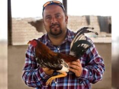 Empresario acusado por presunta violación buscaría salir absuelto con el abogado de Alianza Para el Progreso