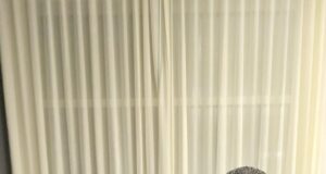 Pepe y su Orquesta viene a Perú a terminar de grabar un tema con Antonio Cartagena