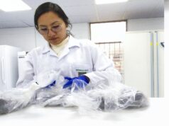 Investigación con impacto: estudiantes UNALM llevarán la ciencia a Colombia y México