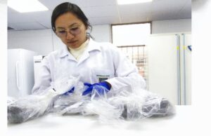 Investigación con impacto: estudiantes UNALM llevarán la ciencia a Colombia y México