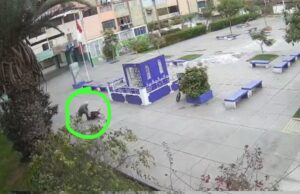 Ministerio Público liberó a anciano que mató a  a un perro en La Victoria (VIDEO)