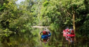 Turismo sostenible: motor de crecimiento y empleo en el Perú