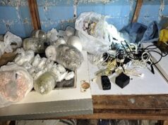 INPE: Agentes penitenciarios incautan 1500 ketes de drogas y nueve celulares en penal Castro Castro