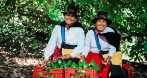 Gobierno: agroexportaciones superaron los US$ 6,730 millones en los primeros siete meses del año