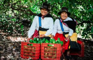 Gobierno: agroexportaciones superaron los US$ 6,730 millones en los primeros siete meses del año