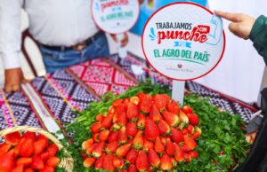 Perú acuerda exportar fresa a Brasil, con más de 211 millones de consumidores
