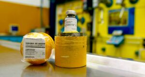 Radiofármaco clave contra males tiroideos y el cáncer