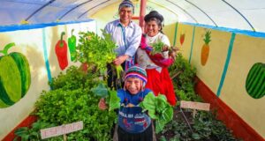 Ministra Fanny Montellanos anunció que el presupuesto del Midis en el 2026 será más de S/7500 millones para los programas sociales