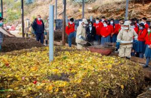Cajamarca: jueces de paz escolares de Bambamarca lideran pasantía ambiental ejemplar para todo el Perú
