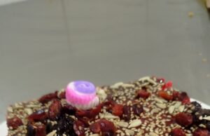 Regresa el Festival del Dulce y Turrón de Doña Pepa con irresistibles sabores