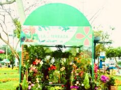 Paisajes en los cerros de Lima