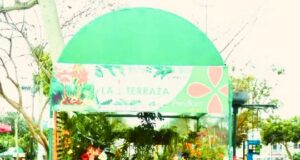 Paisajes en los cerros de Lima