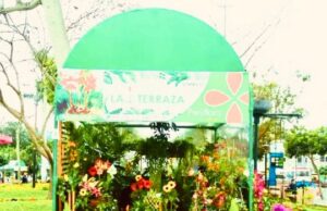 Paisajes en los cerros de Lima