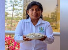 Con emocionante carrera de burros ocucaje celebrará el XXXI Festival de la Menestra