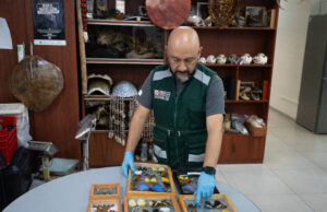 MIDAGRI refuerza control y recupera cerca de mil ejemplares de fauna silvestre en Lima en los últimos meses