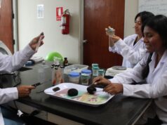 De la inteligencia artificial a la calidad del café: UNALM revela investigaciones que marcarán el futuro del agro y el medio ambiente