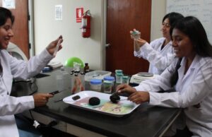 De la inteligencia artificial a la calidad del café: UNALM revela investigaciones que marcarán el futuro del agro y el medio ambiente