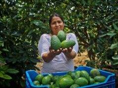MIDAGRI fortalece las cadenas productivas para mejorar la alimentación de miles de familias peruanas