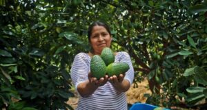 MIDAGRI fortalece las cadenas productivas para mejorar la alimentación de miles de familias peruanas