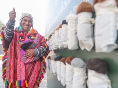 Gobierno impulsa el desarrollo del sector alpaquero y apoya a las familias que viven de la artesanía textil