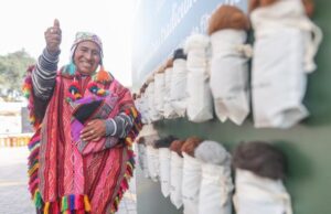 Gobierno impulsa el desarrollo del sector alpaquero y apoya a las familias que viven de la artesanía textil