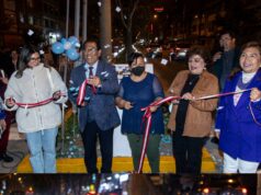 Colocan 153 luminarias en avenida Rosa Toro