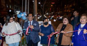 Colocan 153 luminarias en avenida Rosa Toro