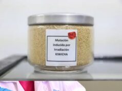 Irradiación de alimentos garantiza alimentos seguros y de calidad, destaca el IPEN