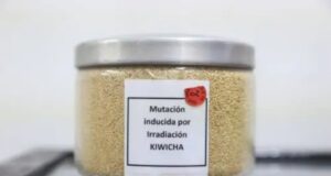 Irradiación de alimentos garantiza alimentos seguros y de calidad, destaca el IPEN