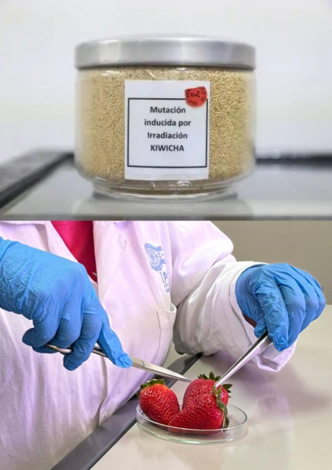 Irradiación de alimentos garantiza alimentos seguros y de calidad, destaca el IPEN