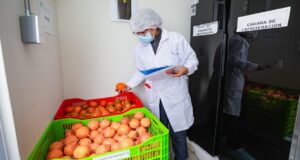 Ministra del Midis Lesly Shica anuncia renovado y transparente proceso de compras de alimentación escolar 2026