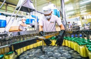 Gobierno establece nuevos plazos flexibles de adecuación ambiental para la industria manufacturera y el comercio interno