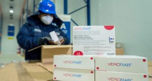 Minsa refuerza la prevención de la rabia con más de 67 000 dosis de vacuna distribuidas en regiones del Perú