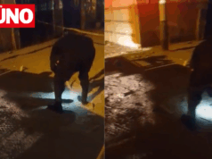 Extorsionadores atacan a balazos bus de Translicsa en San Martín de Porres