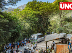 Urubamba fiscalizará y decomisará buses por incumplir plan de transición en Machu Picchu