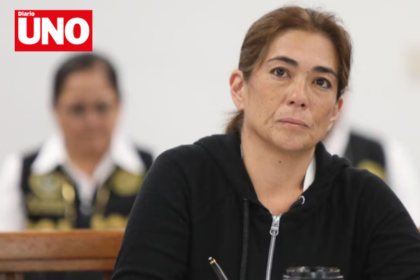 MODELO DIARIO UNO (2)