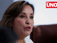 Dina Boluarte evalúa regresar al Reniec o postular al Congreso tras su destitución