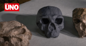 Cráneo de un millón de años en China desafía teorías sobre el origen humano