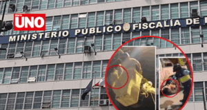 Fiscalía investiga brutal maltrato a oso perezoso durante rescate fallido en Tocache