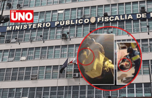 Fiscalía investiga brutal maltrato a oso perezoso durante rescate fallido en Tocache