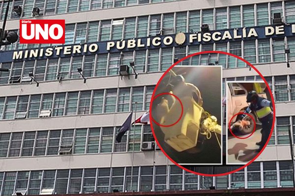 MODELO DIARIO UNO (71)