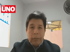 Castillo arremete contra el Congreso en audiencia por su inhabilitación