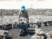 Buscan reducir niveles de arsénico en lodos de PTAR para reutilizarlos en la agricultura, minería y construcción